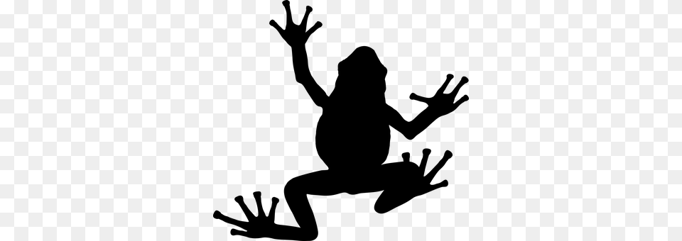 Frog Gray Free Png Download