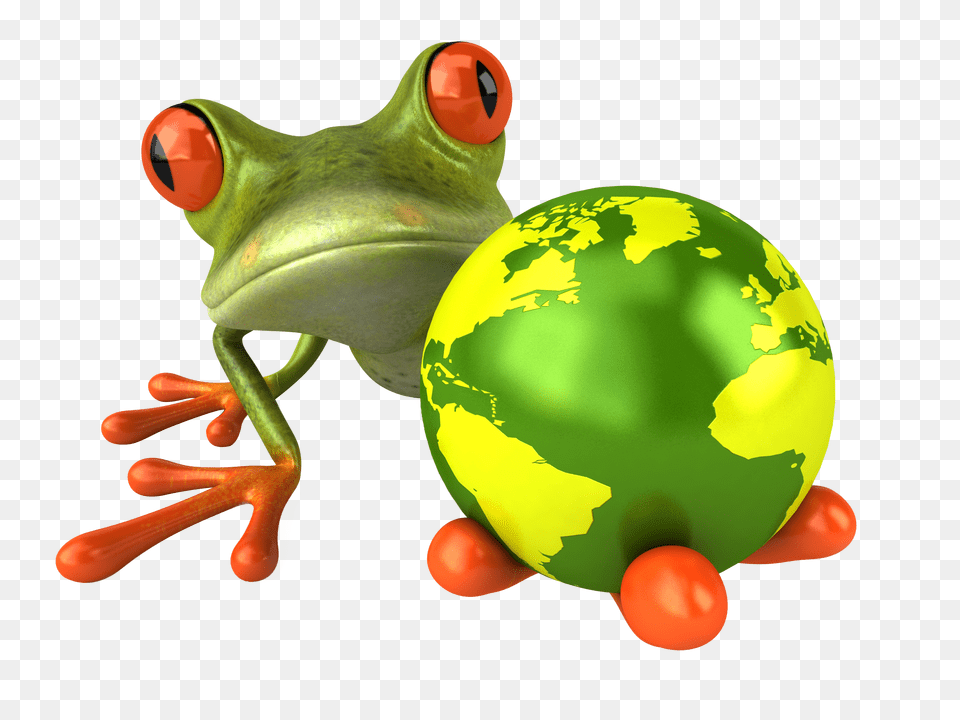 Frog, Amphibian, Animal, Wildlife Png Image
