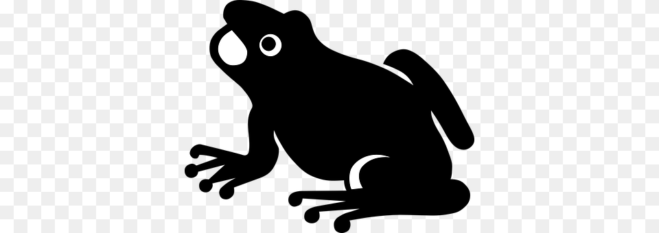 Frog Nature, Night, Outdoors, Astronomy Png Image