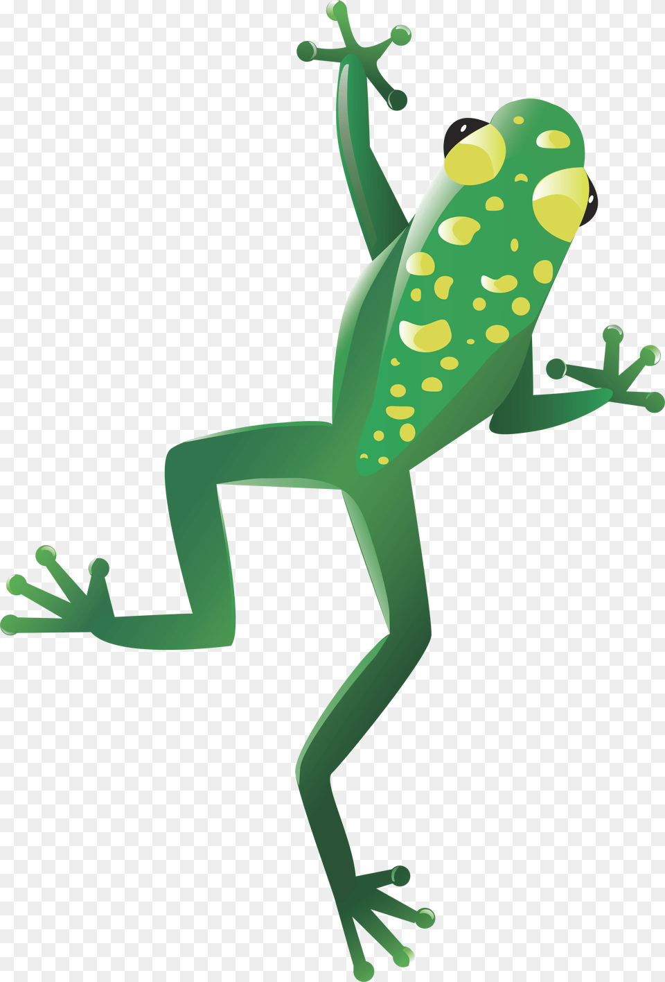 Frog, Animal, Gecko, Lizard, Reptile Free Transparent Png