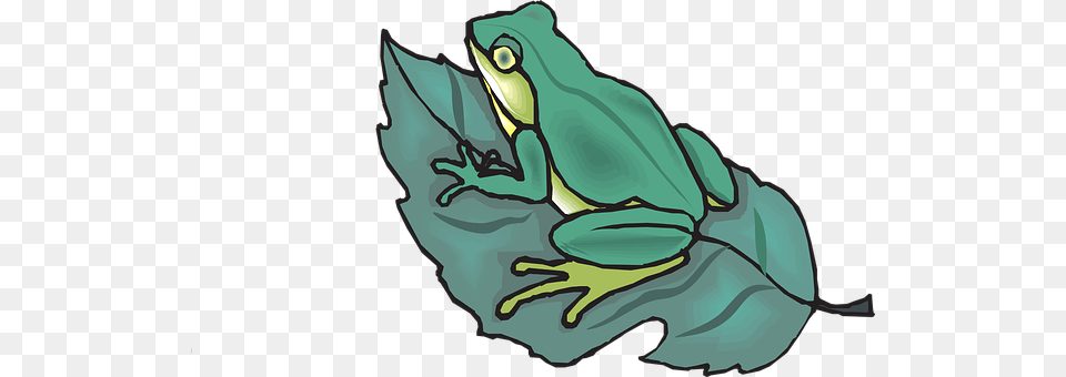 Frog Amphibian, Animal, Wildlife, Tree Frog Free Transparent Png