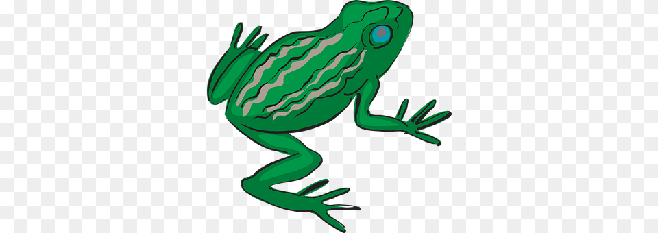 Frog Amphibian, Animal, Wildlife Free Png Download
