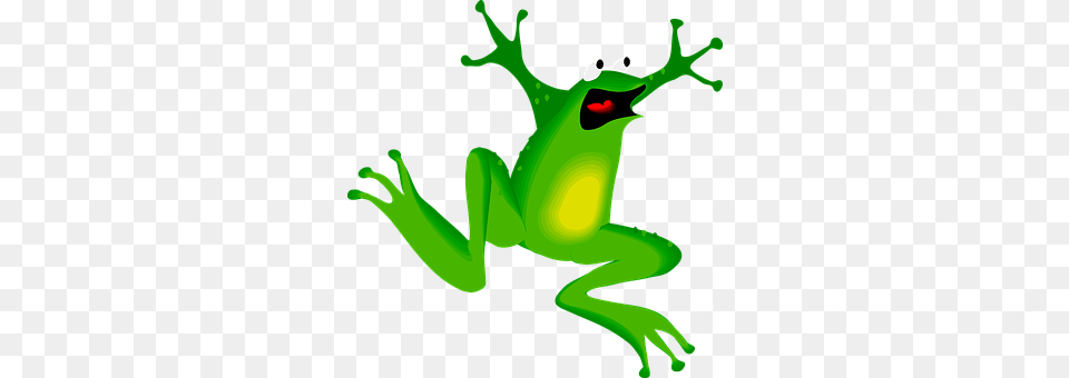 Frog Amphibian, Animal, Wildlife, Tree Frog Free Png Download