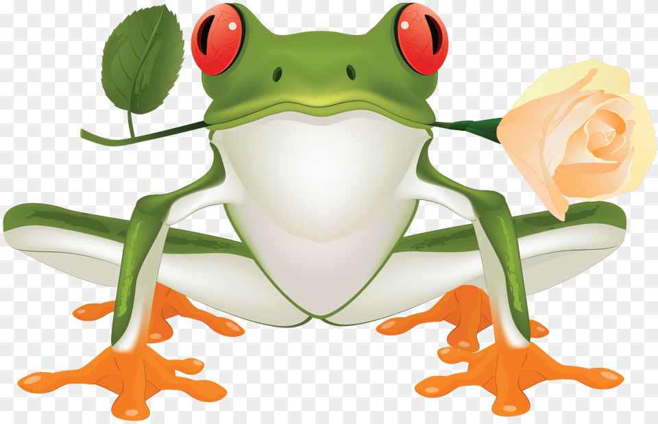 Frog, Amphibian, Animal, Wildlife, Kangaroo Png