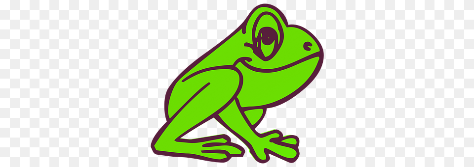 Frog Amphibian, Animal, Wildlife Png