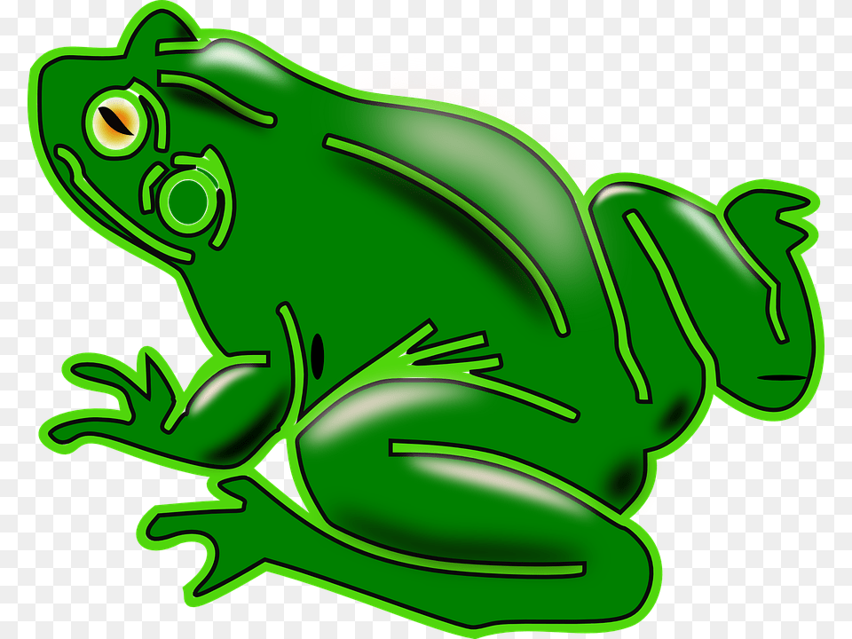 Frog Amphibian Tree Frog Green Animal Shiny Clipart Rana, Wildlife, Smoke Pipe Png Image