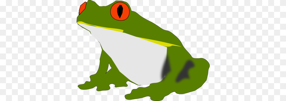 Frog And Toad Frog And Toad Tree Frog Amphibian Frog, Animal, Wildlife, Baby, Person Free Transparent Png