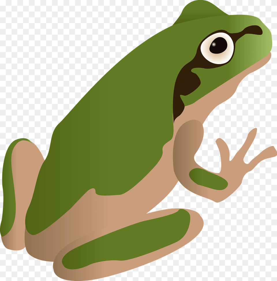 Frog Animal Clipart, Amphibian, Wildlife, Tree Frog, Fish Png
