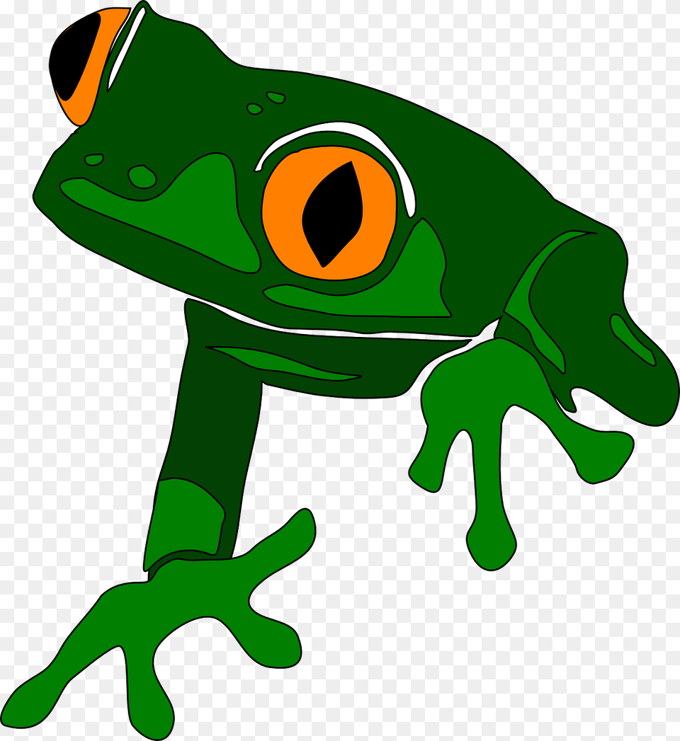 Frog Animal Cute Free Vector Graphic On Pixabay Costa Rica Clip Art, Amphibian, Wildlife, Tree Frog Png
