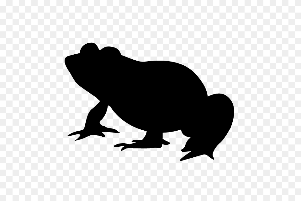 Frog Animal Silhouette Illustrations, Gray Free Png