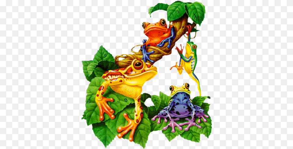 Frog Art Toland Tree Frog House Flag, Amphibian, Animal, Wildlife, Tree Frog Free Transparent Png