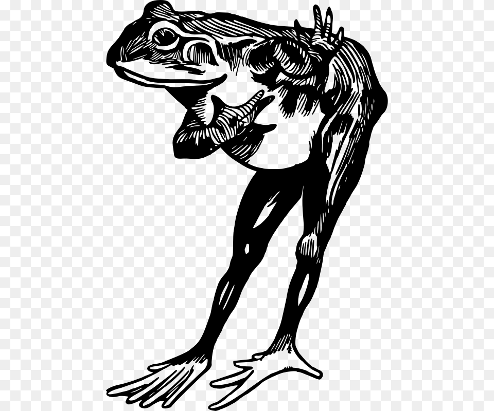 Frog Black And White, Gray Png