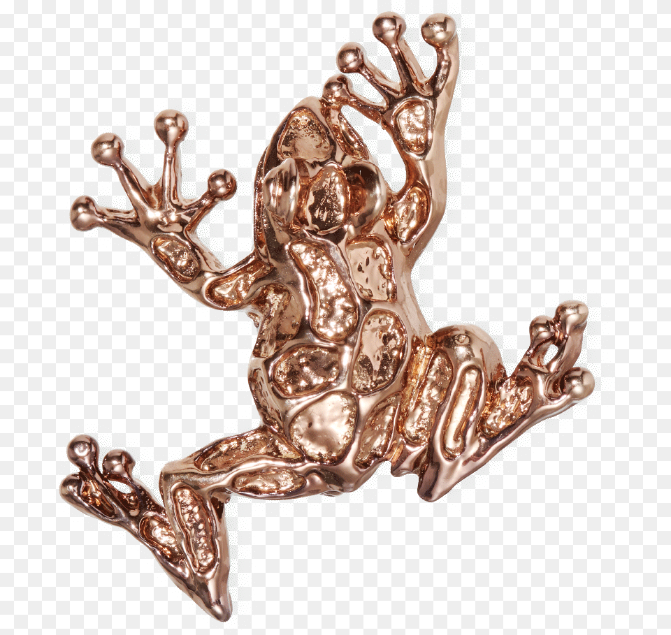 Frog Bronze Plated Brooch Fw19 Collection Pal Zileri, Amphibian, Animal, Wildlife, Person Free Transparent Png