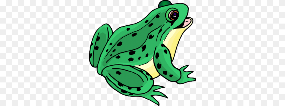 Frog Clip Art, Amphibian, Animal, Wildlife, Bird Png Image