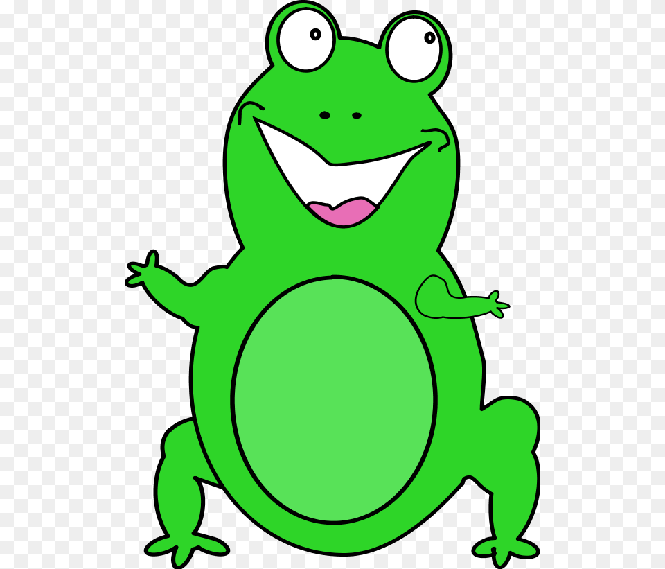 Frog Clip Art Drawings And Colorful Images, Green, Amphibian, Animal, Wildlife Free Png Download