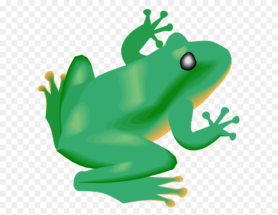 Frog Clip Art Pictures Clipartix, Amphibian, Animal, Wildlife, Tree Frog Free Png