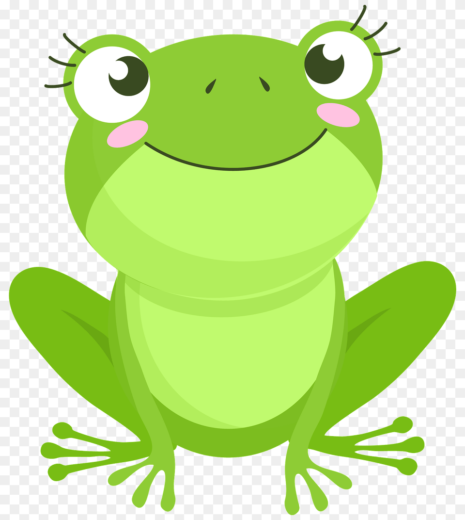 Frog Clipart, Amphibian, Animal, Wildlife, Green Free Png