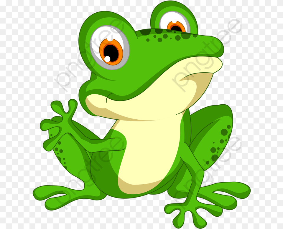 Frog Clipart, Amphibian, Animal, Wildlife, Green Free Png