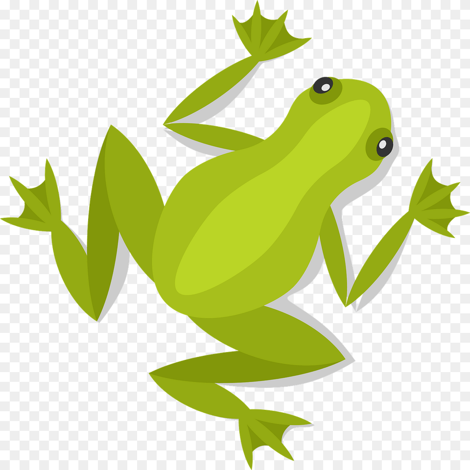 Frog Clipart, Amphibian, Animal, Wildlife, Fish Free Png Download