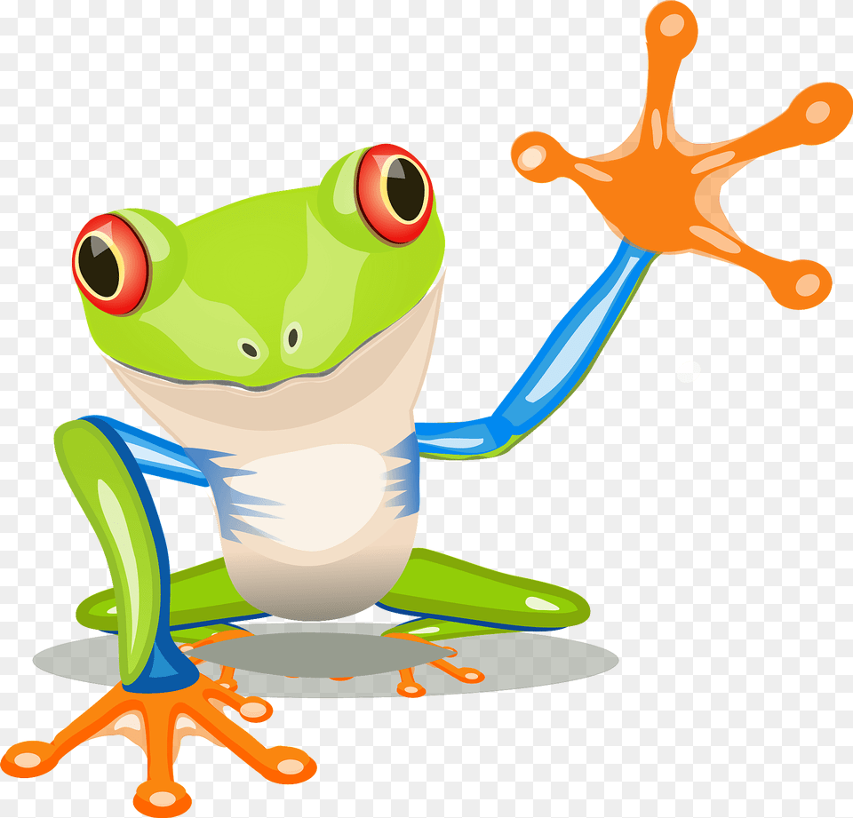 Frog Clipart, Amphibian, Animal, Wildlife, Tree Frog Png