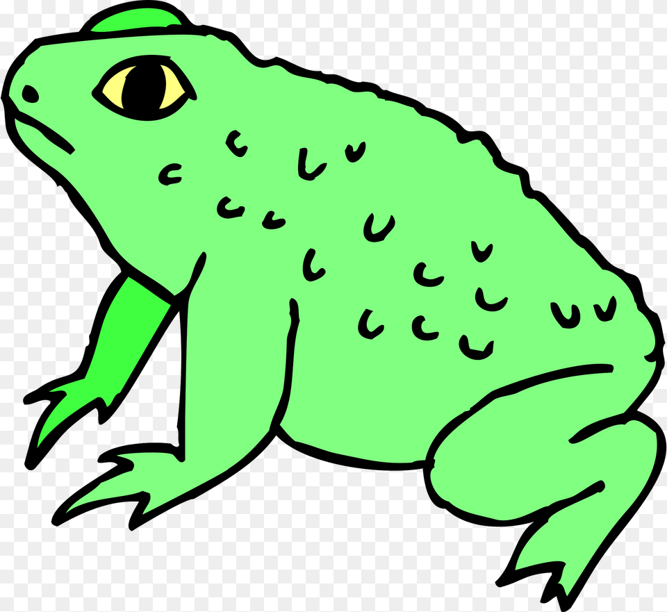 Frog Clipart, Amphibian, Animal, Baby, Person Free Transparent Png