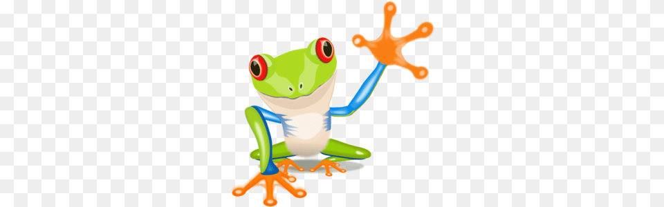 Frog Clipart, Amphibian, Animal, Wildlife, Tree Frog Free Png