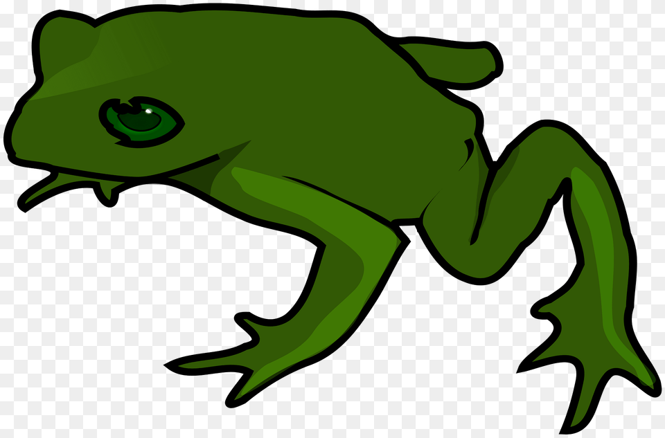 Frog Clipart, Amphibian, Animal, Wildlife, Green Free Png