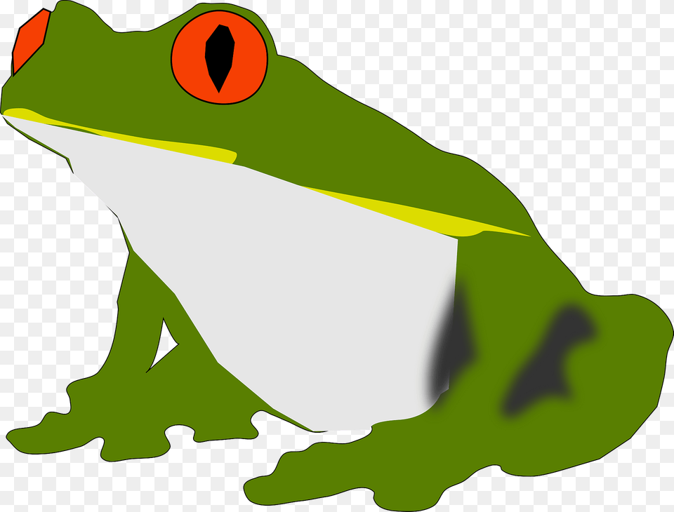 Frog Clipart, Amphibian, Animal, Wildlife, Bear Png