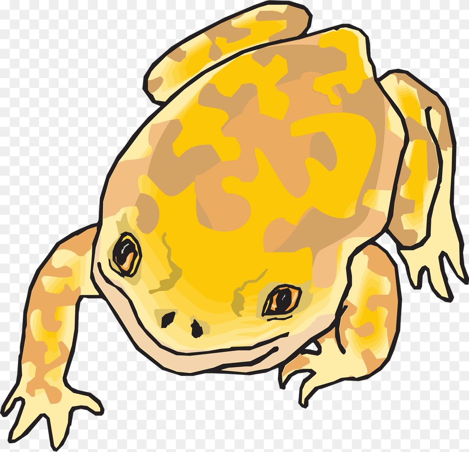 Frog Clipart, Amphibian, Animal, Wildlife, Toad Free Transparent Png