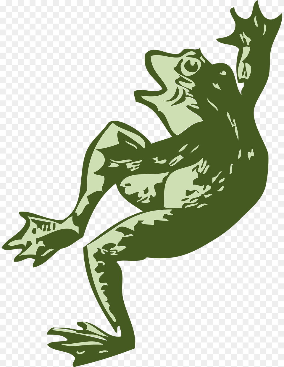 Frog Clipart, Animal, Wildlife, Kangaroo, Mammal Free Png