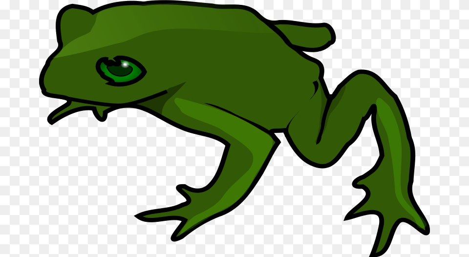 Frog Clipart, Amphibian, Animal, Green, Wildlife Free Png Download