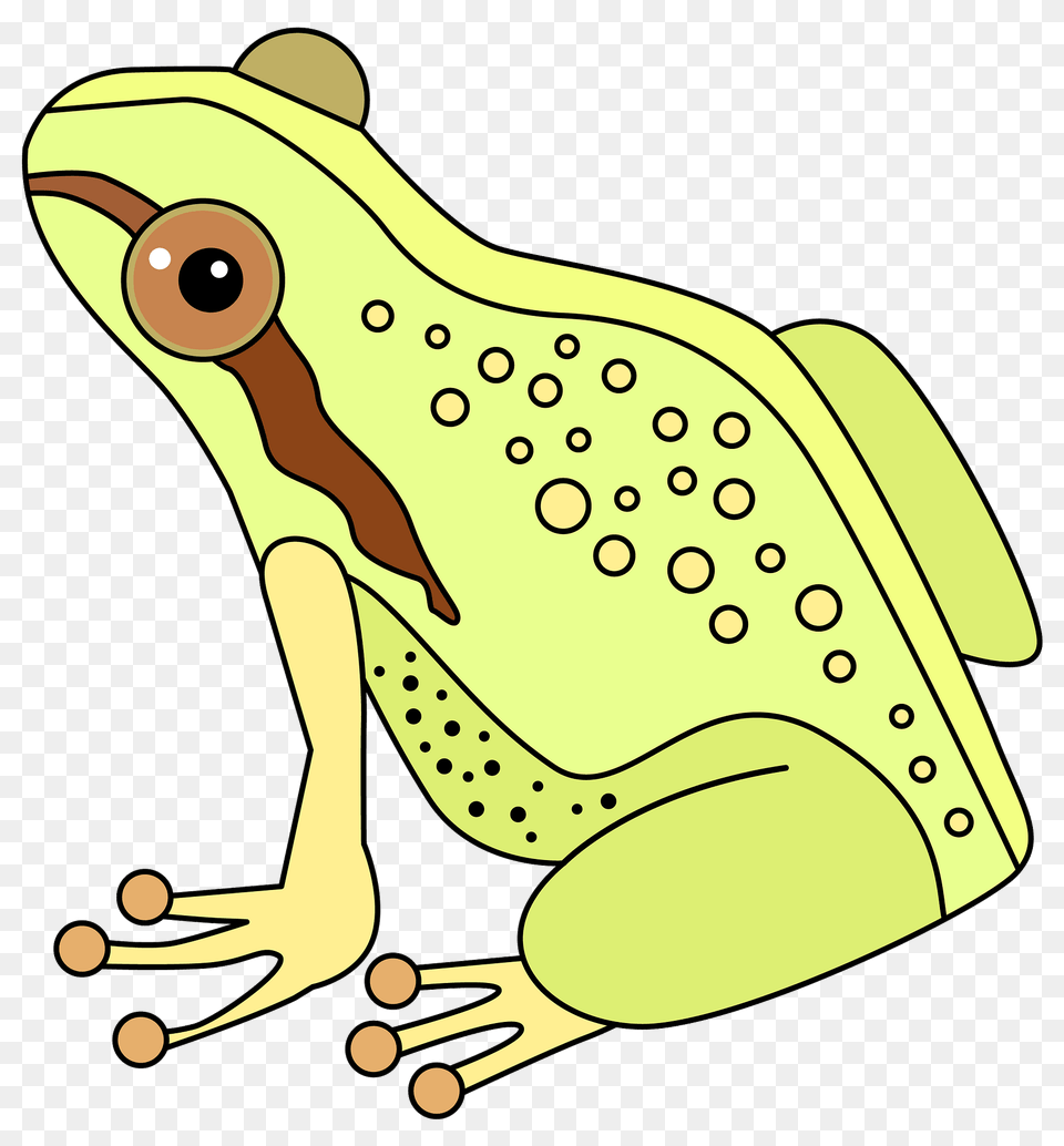 Frog Clipart, Amphibian, Animal, Wildlife, Fish Free Transparent Png