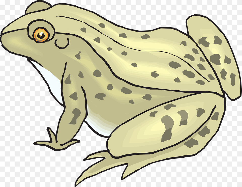 Frog Clipart, Amphibian, Animal, Wildlife, Fish Free Png