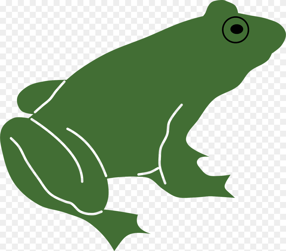 Frog Clipart, Amphibian, Animal, Wildlife, Fish Png Image