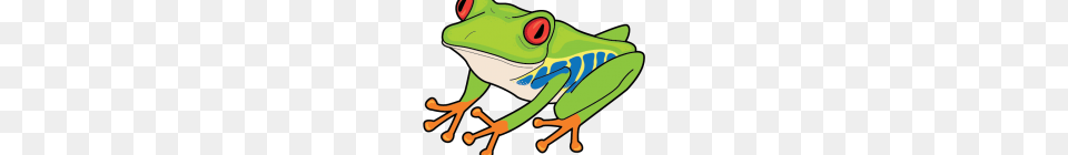 Frog Clipart Cute Frog Clip Art, Amphibian, Animal, Wildlife, Tree Frog Free Transparent Png