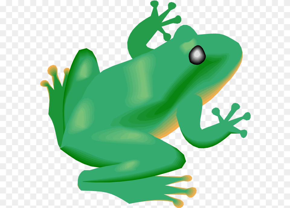 Frog Clipart Diving Rainforest Frog Clipart, Amphibian, Animal, Wildlife, Tree Frog Free Png Download