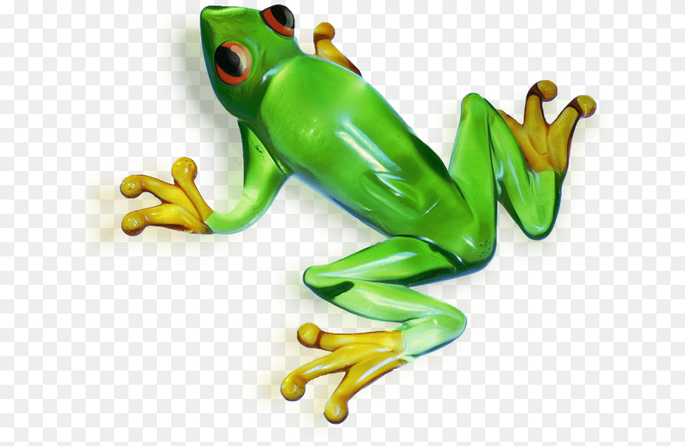 Frog Clipart Picture Tree Frog Transparent Background, Amphibian, Animal, Wildlife, Tree Frog Free Png