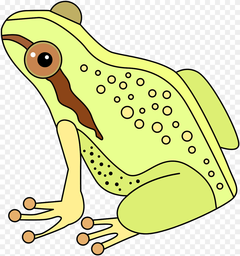 Frog Clipart Rana Clipart, Amphibian, Animal, Wildlife, Fish Free Png