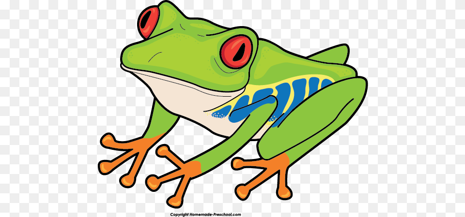 Frog Clipart Ready For Personal And Commercial Projects, Amphibian, Animal, Wildlife, Tree Frog Png Image