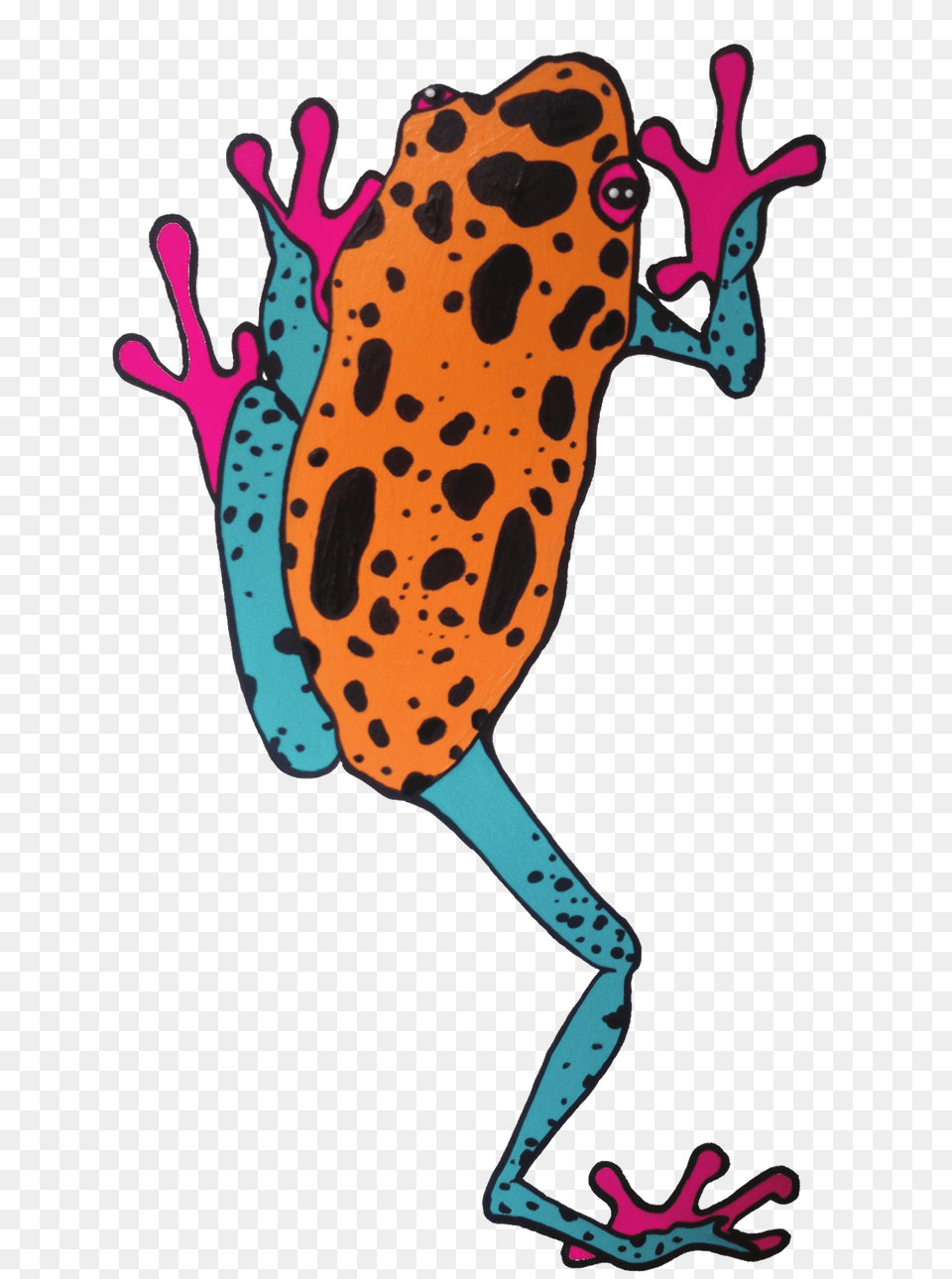 Frog Clipart Toad, Amphibian, Animal, Wildlife, Mammal Png