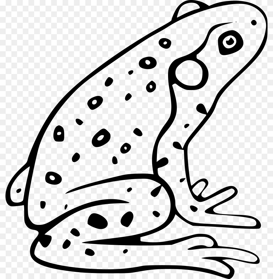 Frog Comments Icon, Amphibian, Animal, Wildlife, Bear Png Image