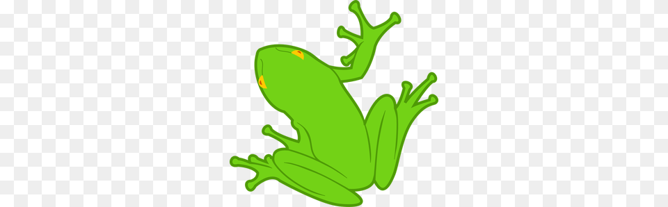 Frog Free Clipart, Amphibian, Animal, Wildlife, Tree Frog Png Image