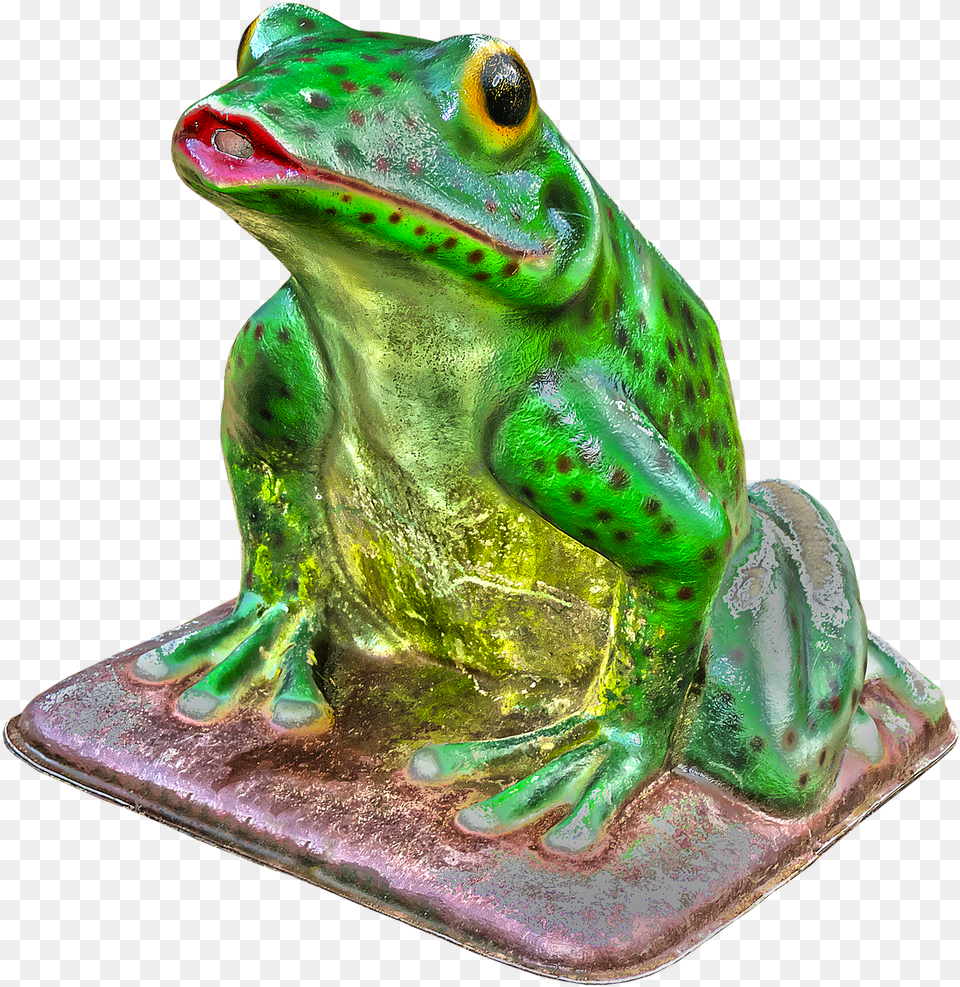 Frog Green Figure Picture Green Eyed Tree Frog, Amphibian, Animal, Wildlife, Dinosaur Free Transparent Png