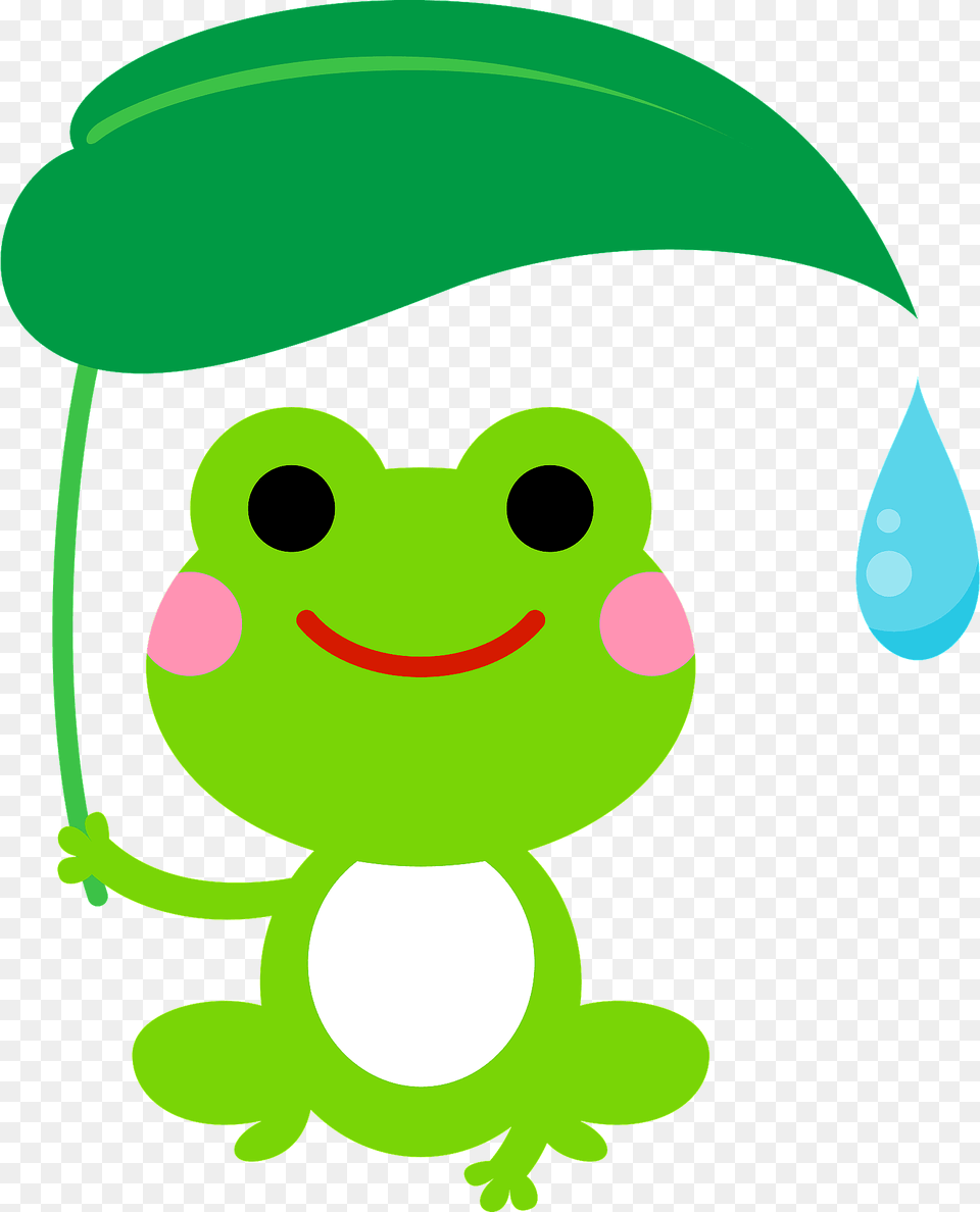Frog Holding A Leaf Over Its Head Clipart, Green, Amphibian, Animal, Wildlife Free Transparent Png