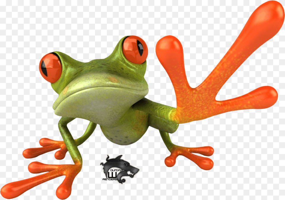 Frog Image, Amphibian, Animal, Wildlife, Tree Frog Png