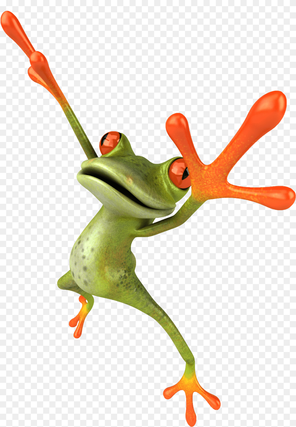 Frog Jumping At You, Amphibian, Animal, Wildlife, Tree Frog Png Image