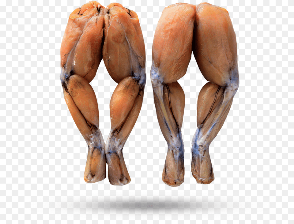 Frog Legs Free Transparent Png