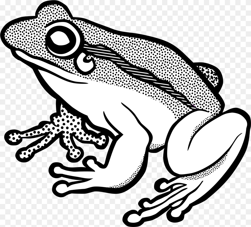 Frog Line Art Amphibian Drawing Computer Icons Frog Line Art, Animal, Wildlife, Fish, Sea Life Free Png Download