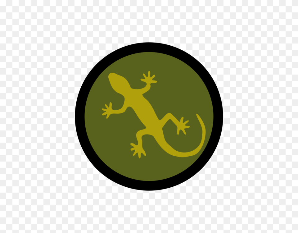 Frog Lizard Reptile Common Iguanas Footprint, Animal, Gecko Free Png Download