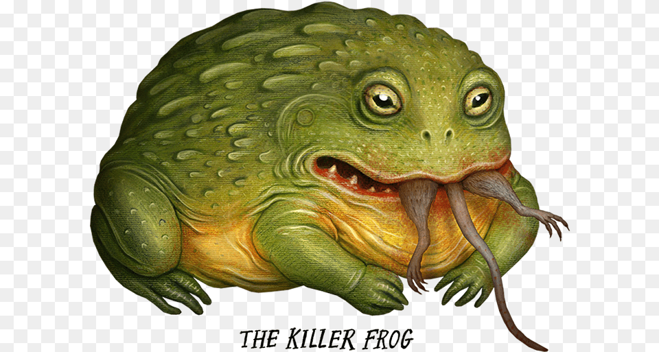 Frog Monster, Animal, Lizard, Reptile, Iguana Free Transparent Png